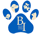 business insurers of the carolinas