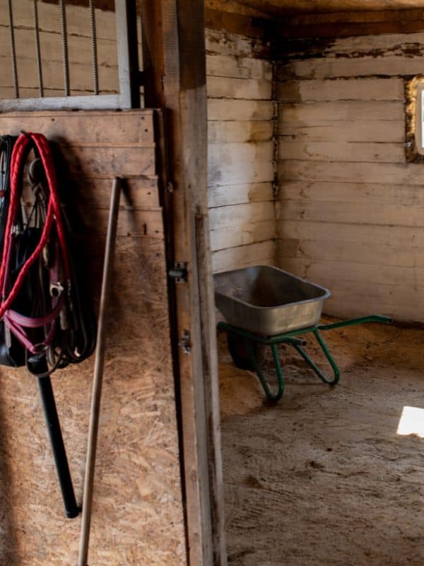farm care barn in christiansburg VA